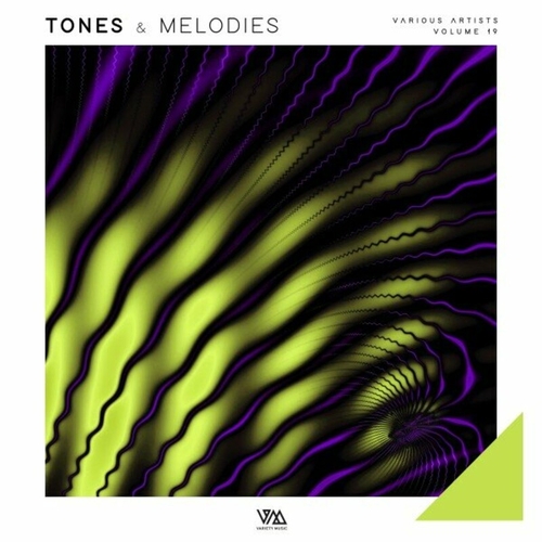 VA - Tones & Melodies Vol. 19 [VMCOMP1106]